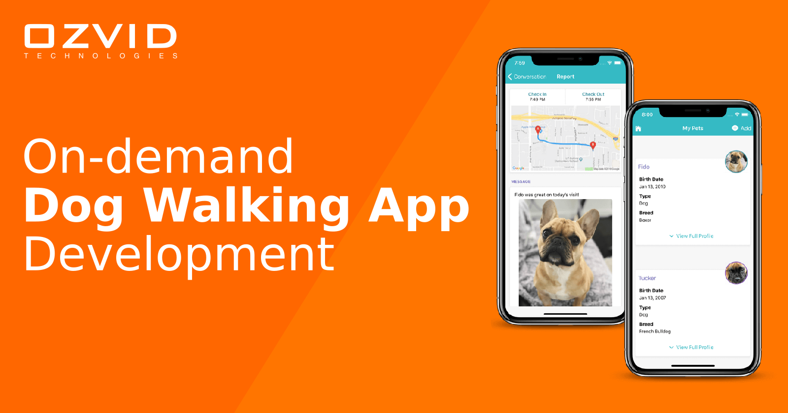 On-demand Dog Walking App That Can Help You Raise billion Dollars