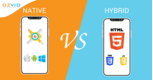 In-Depth Qualitative Analysis of the Native and Hybrid Mobile Applications