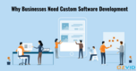 Top Reasons Why Your Business Needs Custom Software Development