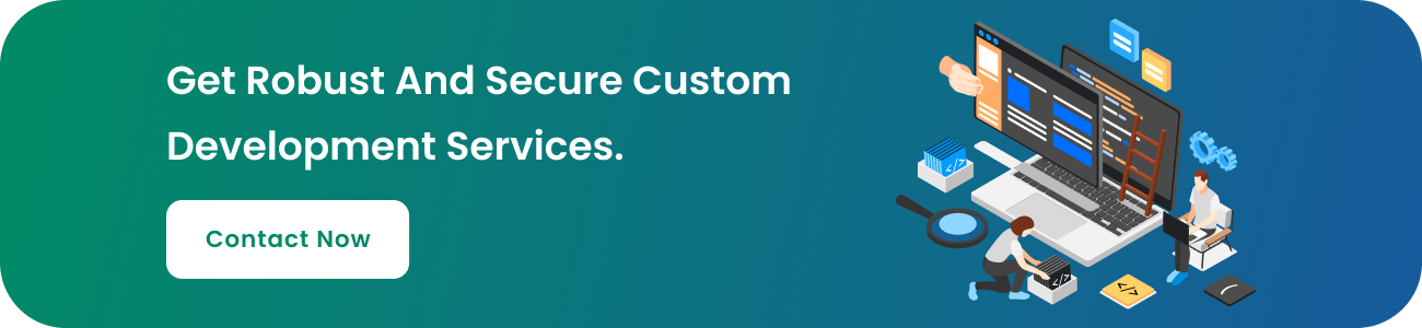Robust and Secure Custom Development Services 
